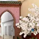 Alfarnate is a village in the axarquia in malaga, it has a lot of cherry trees and it is beautiful.