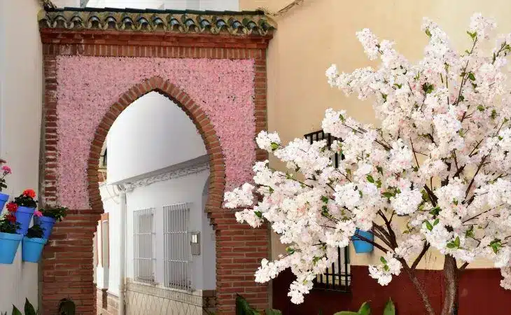 alfarnate-axarquia-malaga Alfarnate is a village in the axarquia in malaga, it has a lot of cherry trees and it is beautiful.