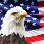 americans moving to malaga a picture of a american bird, reflects american people moving to spain