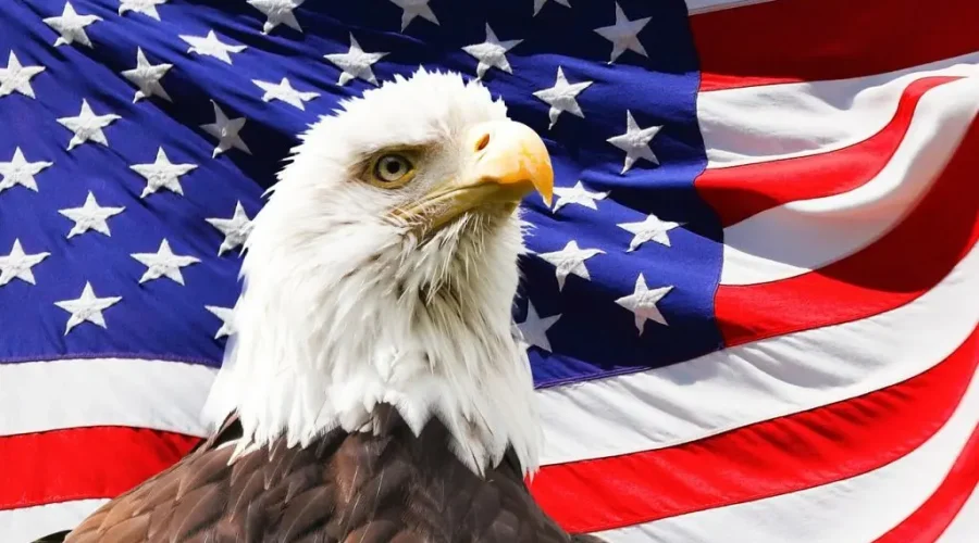 a picture of a american bird, reflects american people moving to spain