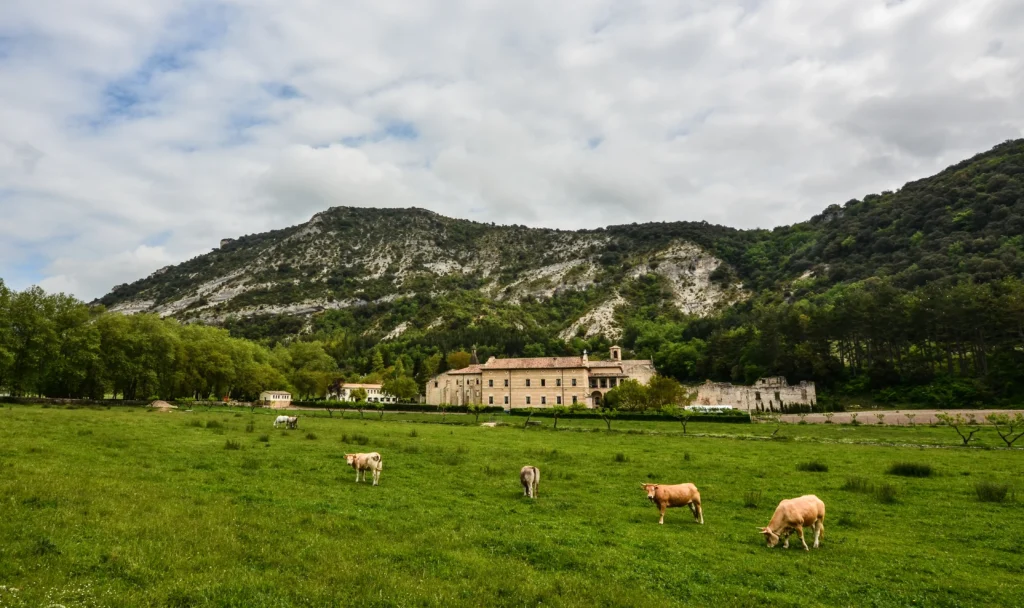 rural buildings in spain how to purchase