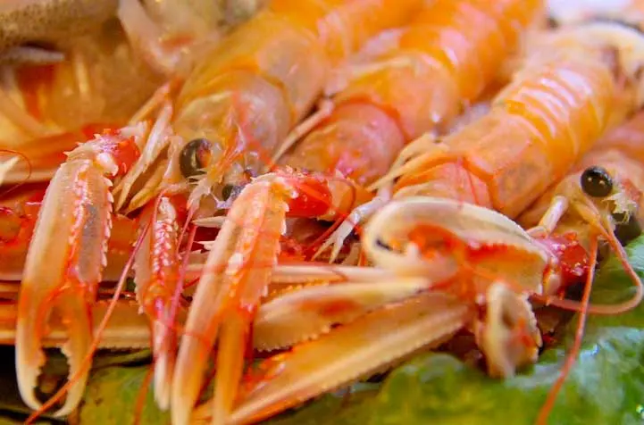 the best restaurant malaga antonio