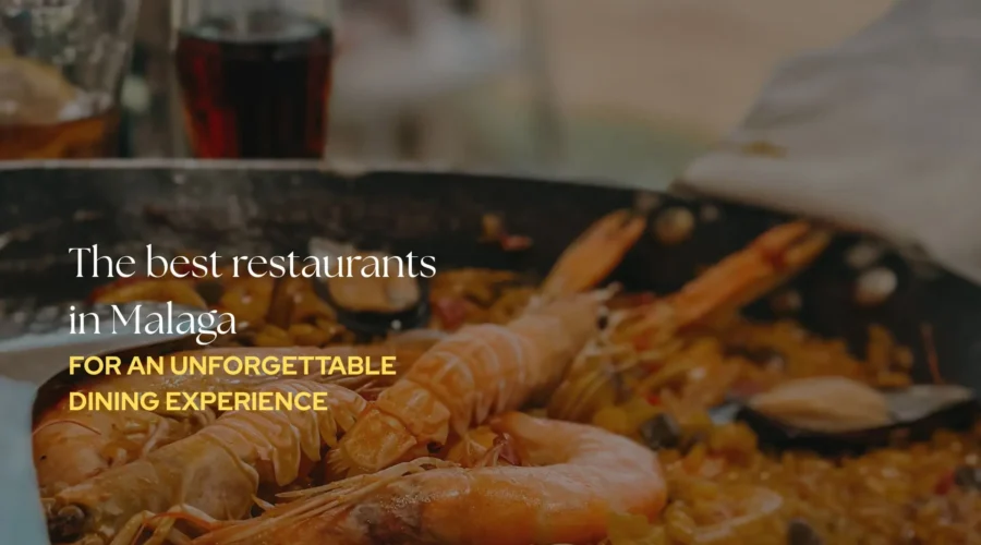 the best restaurants in malaga