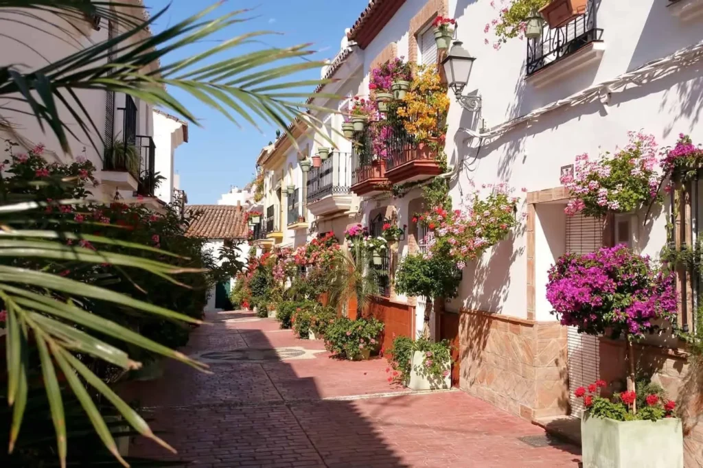 What-to-Do-in-Estepona-1